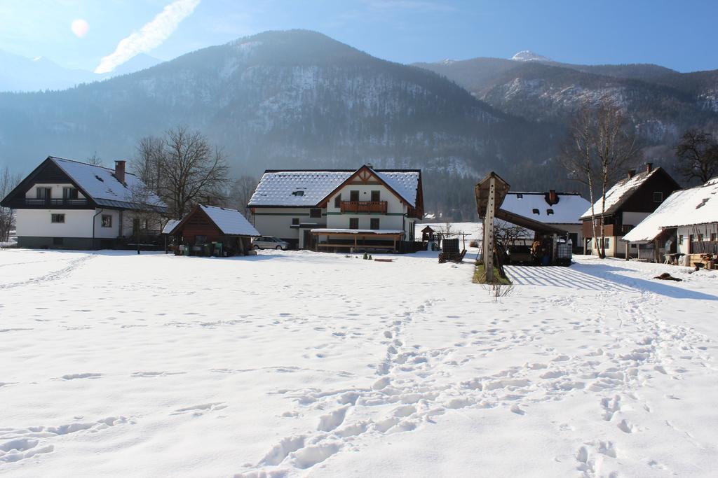Apartments Villa Dov Бохинь Экстерьер фото