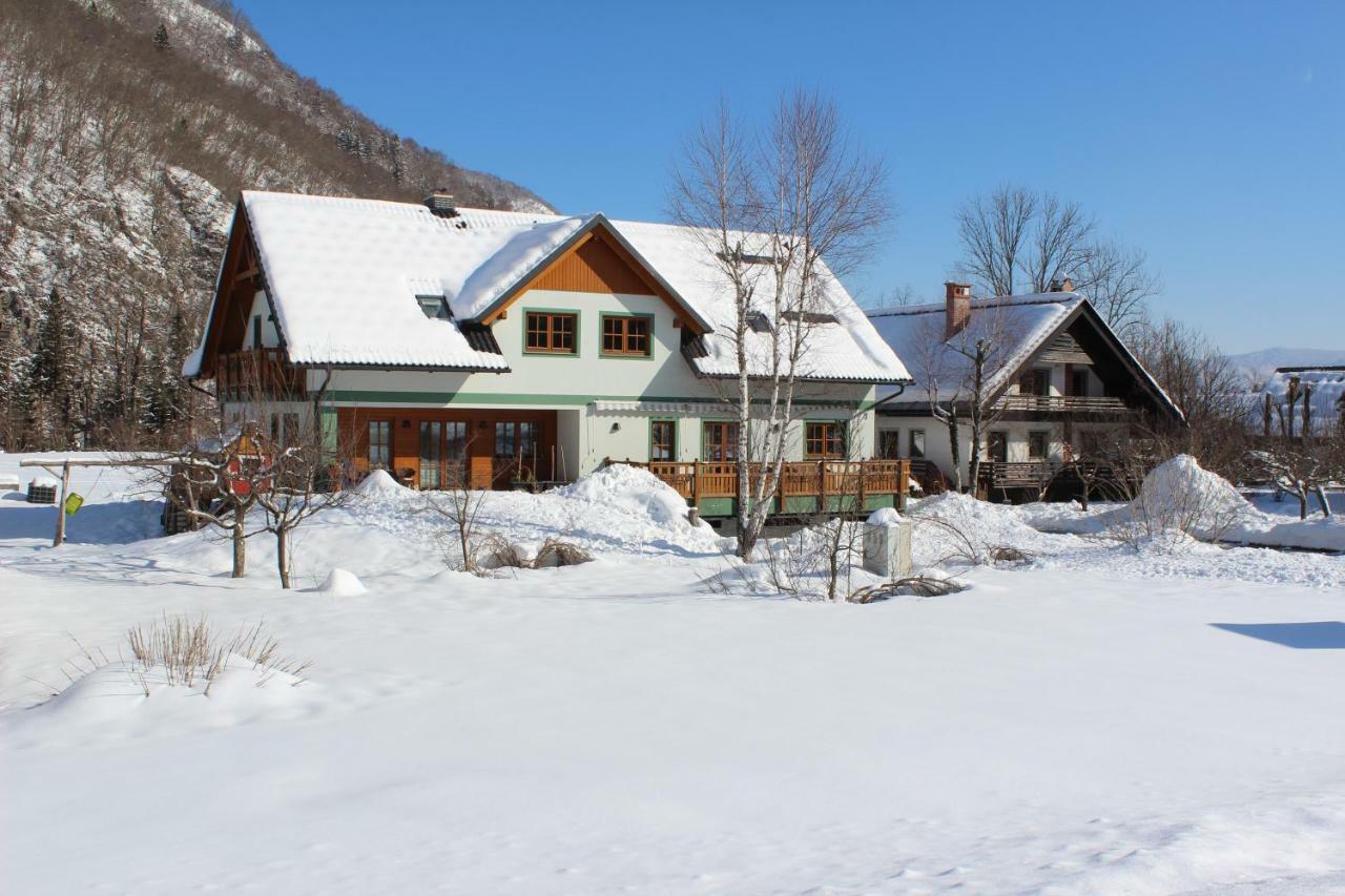 Apartments Villa Dov Бохинь Экстерьер фото